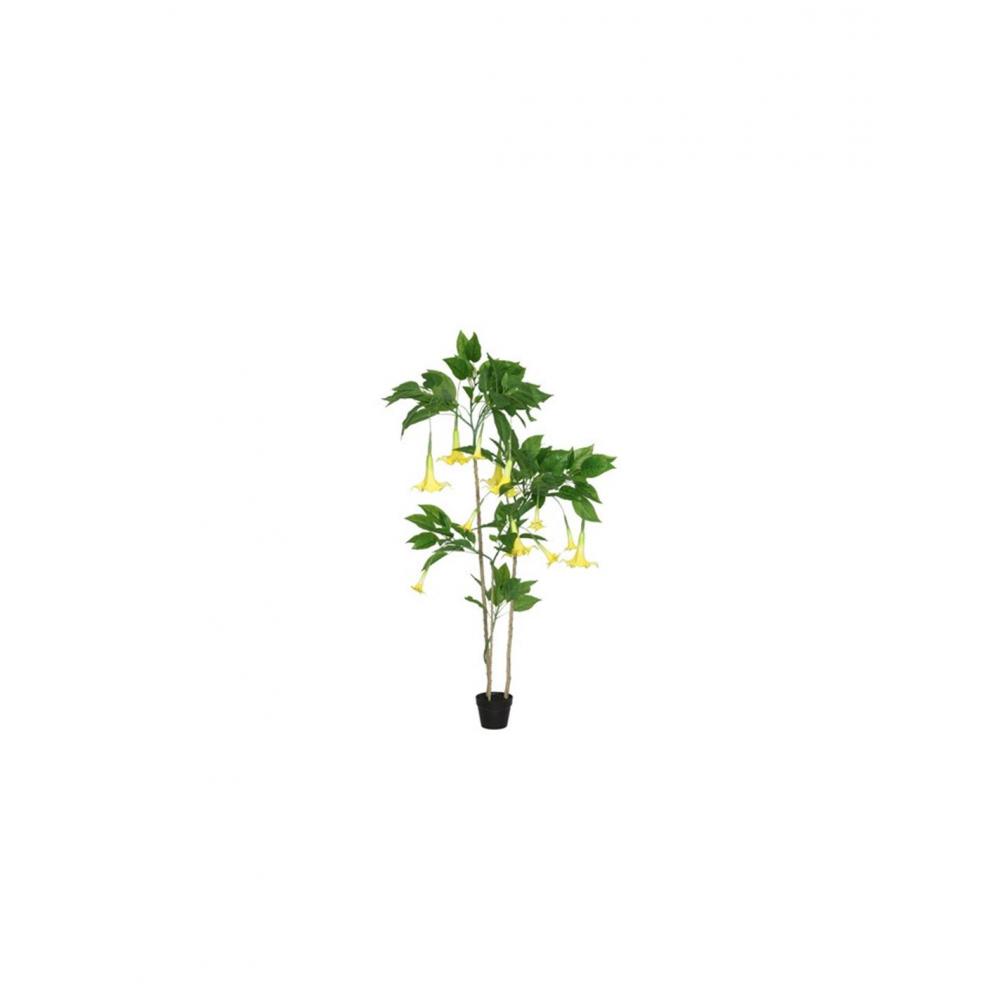 Δατούρα κίτρινη σε κασπώ 93x48x180cm Plastona 013.816232