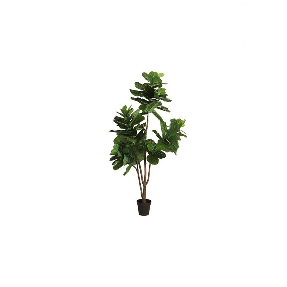 Φύκος σε κασπώ 230cm Plastona 013.780826