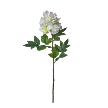Παιώνια σε λευκό χρ.,71cm