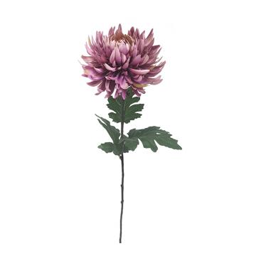 Χρυσάνθεμο σε χρώμα "Ταπισερί", 81cm