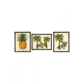 Κάδρο "Tropical pineapple" 3σχέδια 20x25 cm