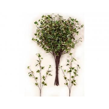 Κλαδί κισσός δίχρωμος 80cm